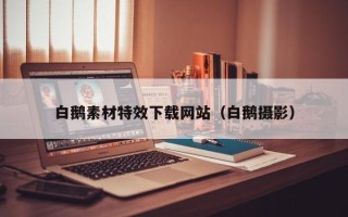 衢州白鹅素材特效下载网站（白鹅摄影）